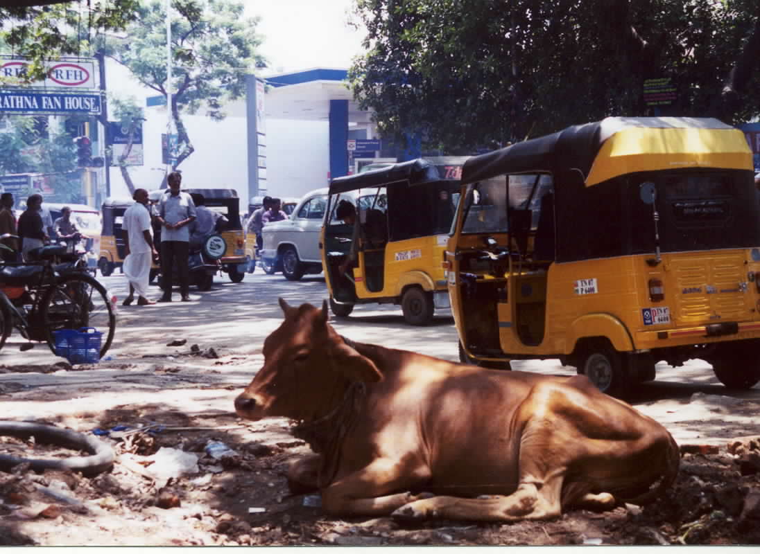 Discovering India